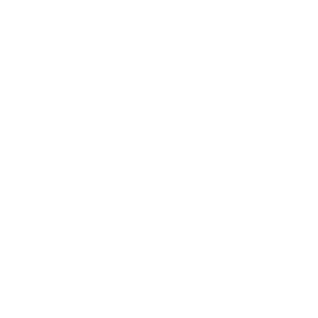 Icono Paniagua Ramírez